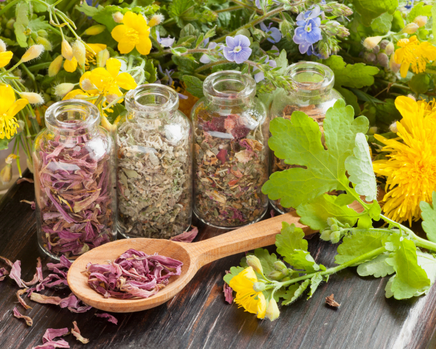 Plantes medicinales